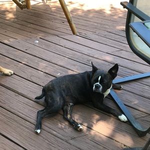 Meet your Posher, Debra